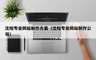 德宏沈阳专业网站制作方案（沈阳专业网站制作公司）
